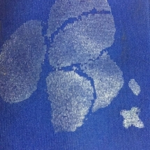 Shreeji Silicone Glossy Clear