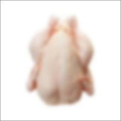 Frozen Halal Whole Chicken