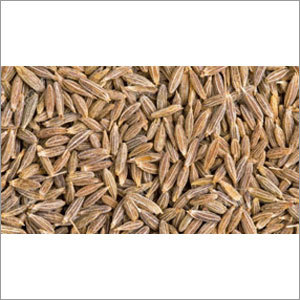 Natural Cumin Seed Natural Cumin Seed