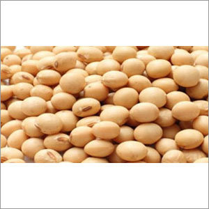 Soybean Seeds Soybean Seeds