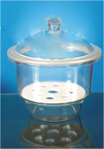 Glass Dessicator With Lid, Plain