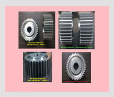 Emd Water Pump Gear
