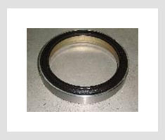 WABCO Oil Seal