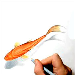 Drawings Paintings