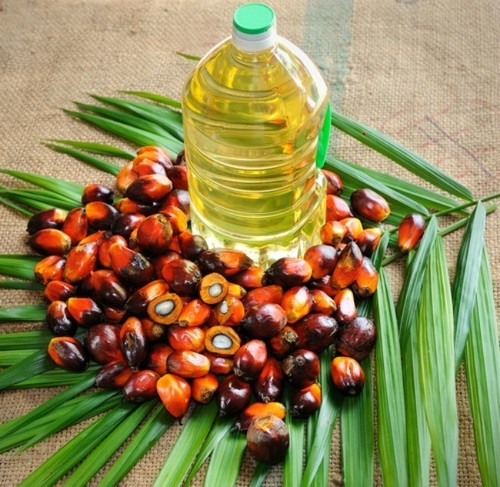 Edible Oil