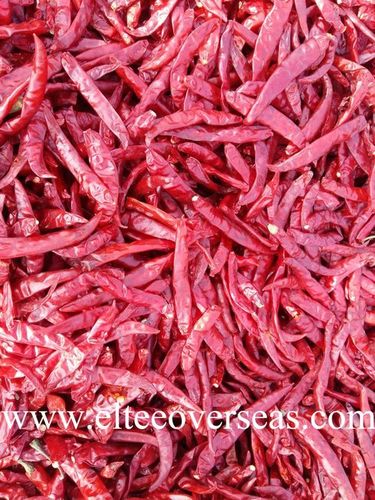 Indian S-17 Teja Red Chilly stemless