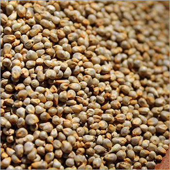 Pearl Millets