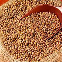 Turkish Gram