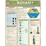 Chart, Botany - Weatherproof Non-tearing Plastic Sheet, 75x100 Cm | Markable Surface, Fitted With Plastic Rollers, Laboratory Use