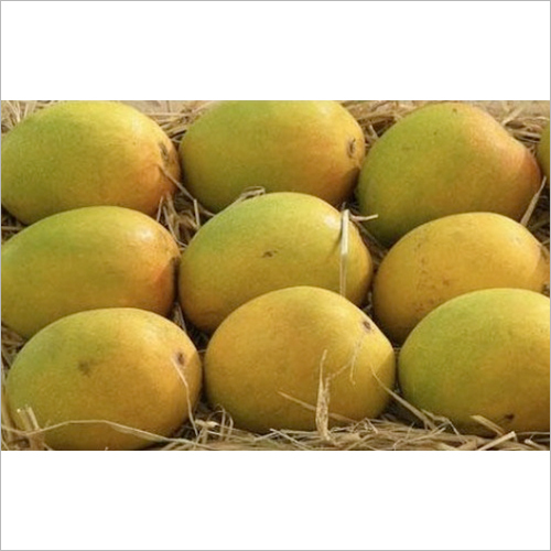 Alphonso Mango