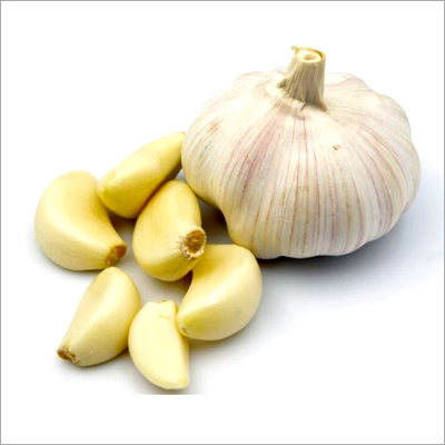 Organic Garlic