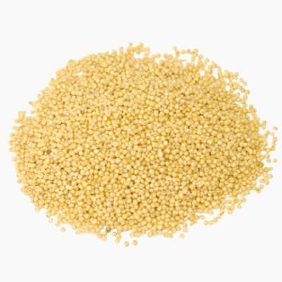 FOXTAIL-MILLET