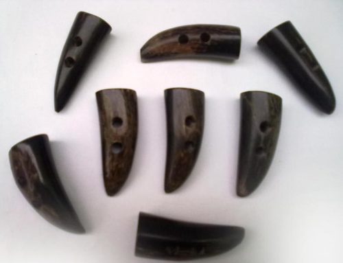 Buffalo Horns and Bones Buttons