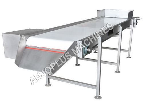 Infeed conveyor Mango Processing Machineries