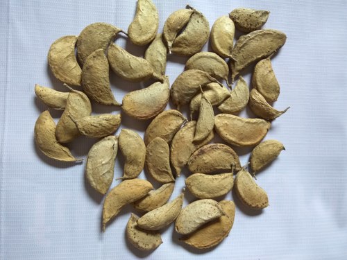 Meswak Seeds