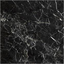 Designer Marble