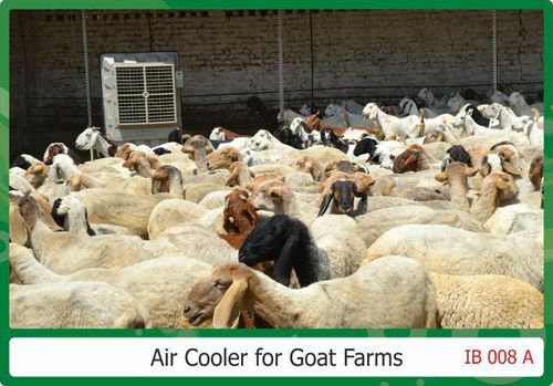 commercial Air cooler for goat Farms Area