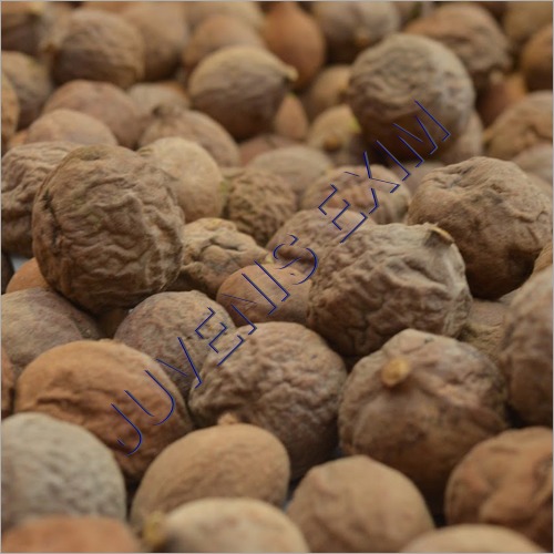 Terminalia Bellirica