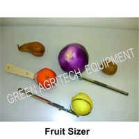 Fruit Sizer