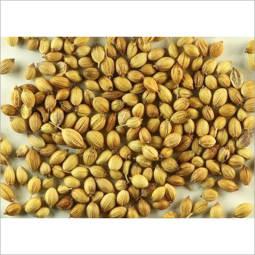 Dried Coriander Seeds