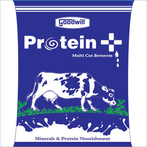 White Protein Multi Cut Berseem