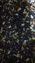 After mint