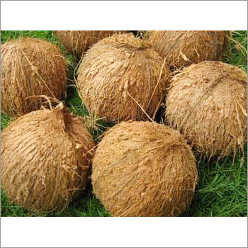 Raw Coconut