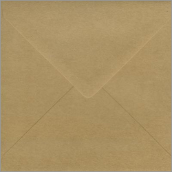 Brown Kraft Envelopes