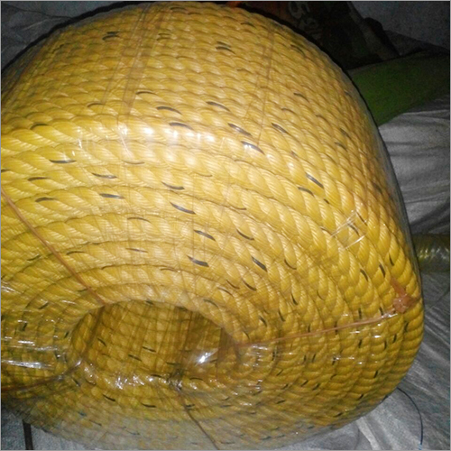 24mm Yellow Ropes