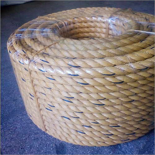 PP Yellow Ropes