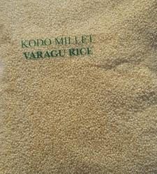 KODO MILLET