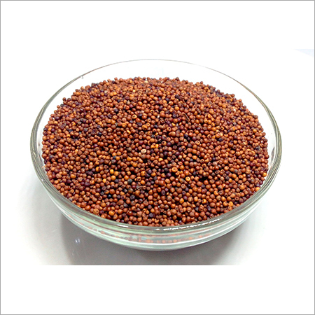 Finger Millets
