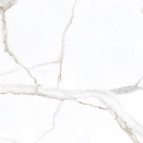 Polished Tile