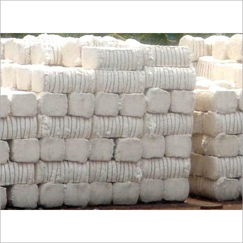 Raw Cotton Raw Cotton