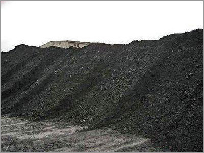 Quality Steam Coal