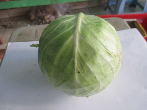 Cabbage