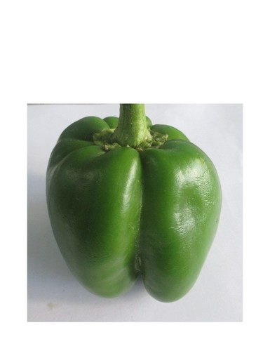 Green Simla Mirchi