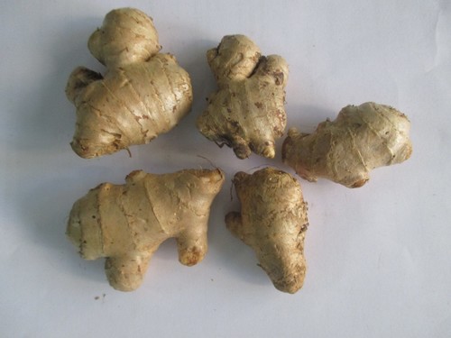 Ginger (Adrak)