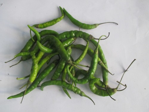 Green Chilli (Mirchi)