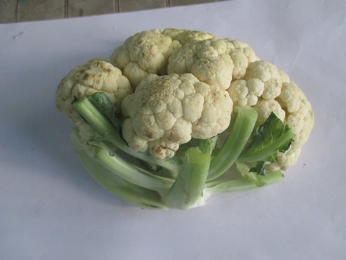 Cauliflower