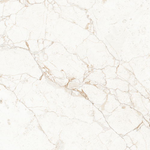 Glazed Floor Tile