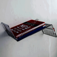 Stainless Steel Designer Book Shelf