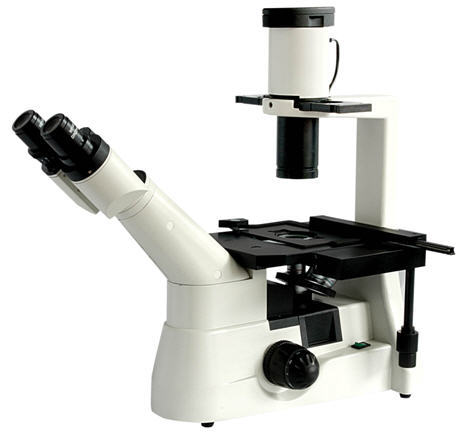 Inverted Microscope Dimension(L*W*H): 760X600X900 Millimeter (Mm)