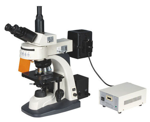 Fluorescence Microscope