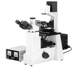 Fluorescence Microscope