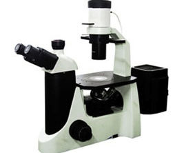 Fluorescence Microscope