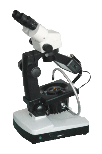 Stereo Microscope