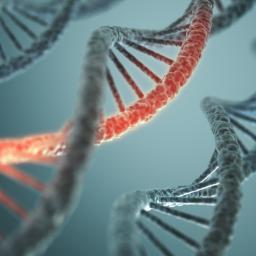 DNA(Paternity,Maternal,Ancestry) Testing From Biological Fluids