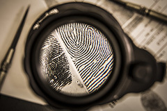 Finger Print Analysis.