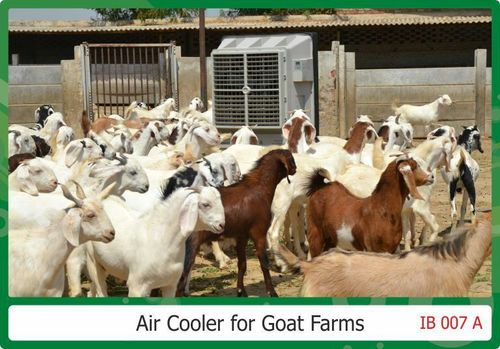 Evaporative air coolers For Goat Farms Area
